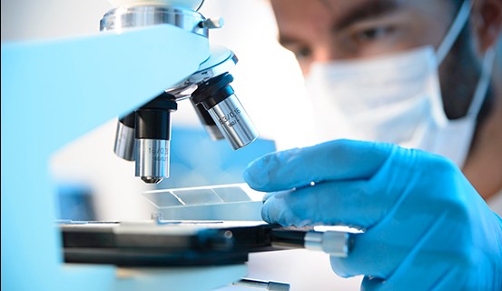 Northern Light EMMC OBGYN Pathology Conference Banner