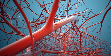 Northern Light EMMC Vascular Case Conference Banner