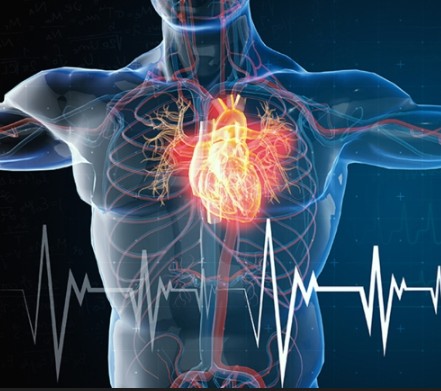 Northern Light EMMC Cardiology Grand Rounds Banner
