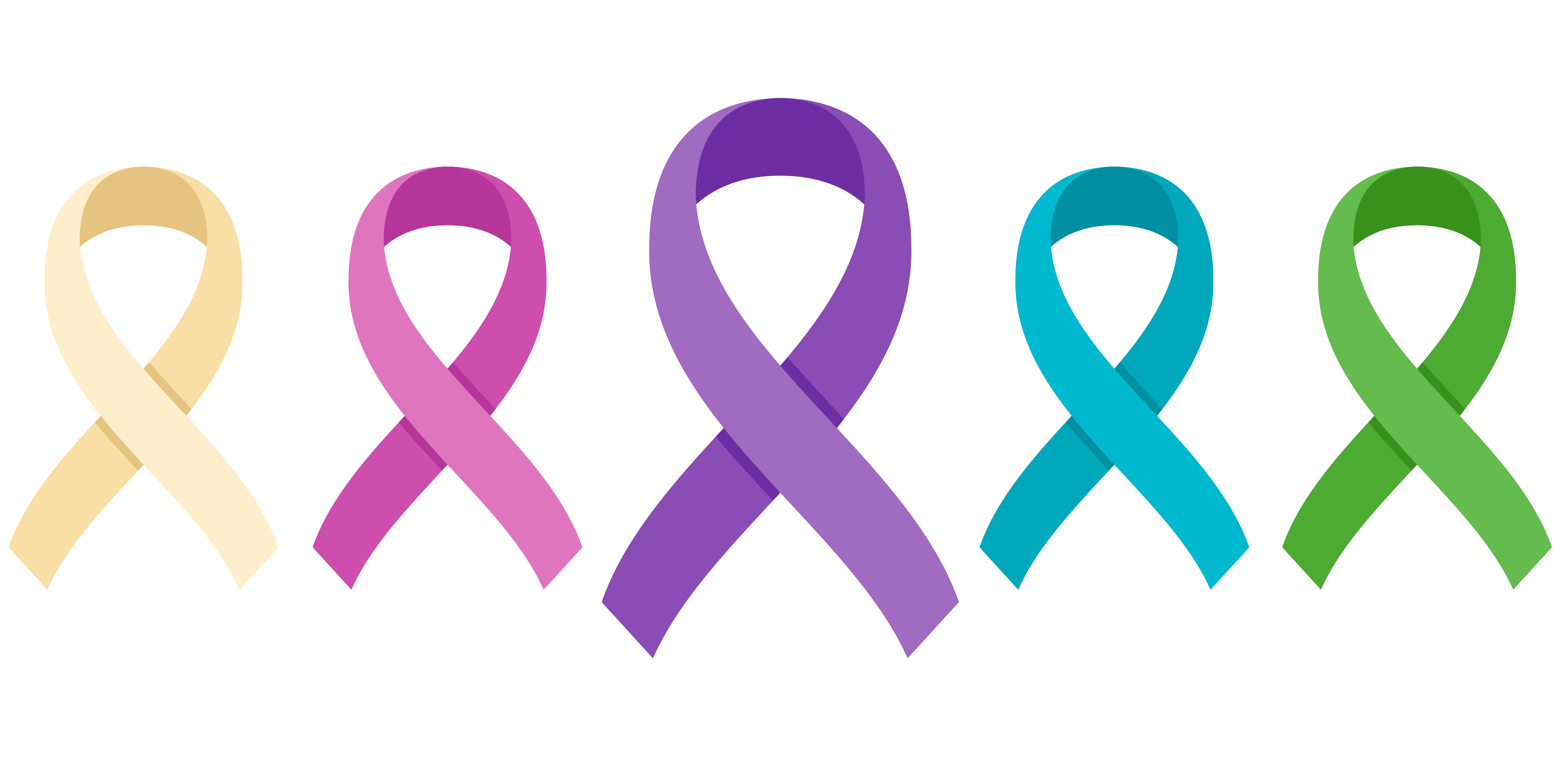 Northern Light EMMC Cancer Leadership Committee Banner